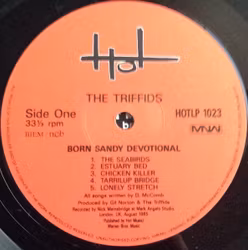 The Triffids – Born Sandy Devotional. Lp