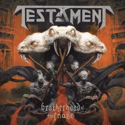 Testament - Brotherhood Of The Snake - LTD (2LP)