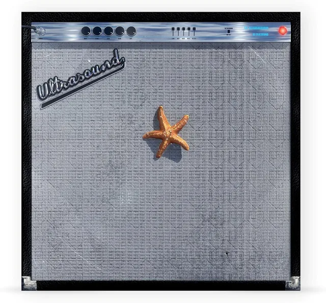 The Neighbourhood - (((((ultraSOUND)))))+ - LTD (2LP)