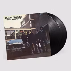 Flamin' Groovies - Shake Some Action - LTD (2LP)