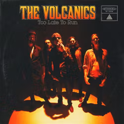 Volcanics, The - Too Late To Run (Lp)