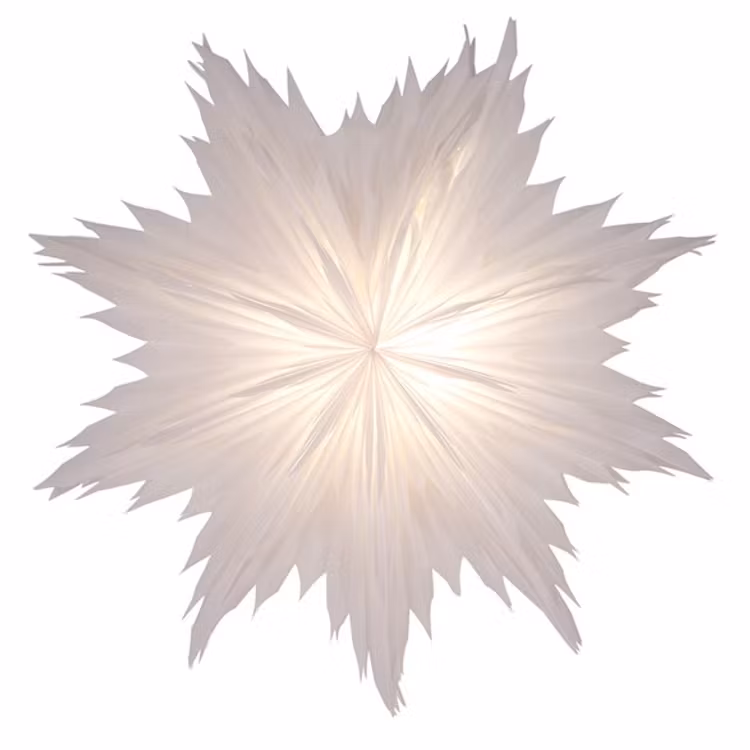 Julstjärna Oslo 80 cm vit