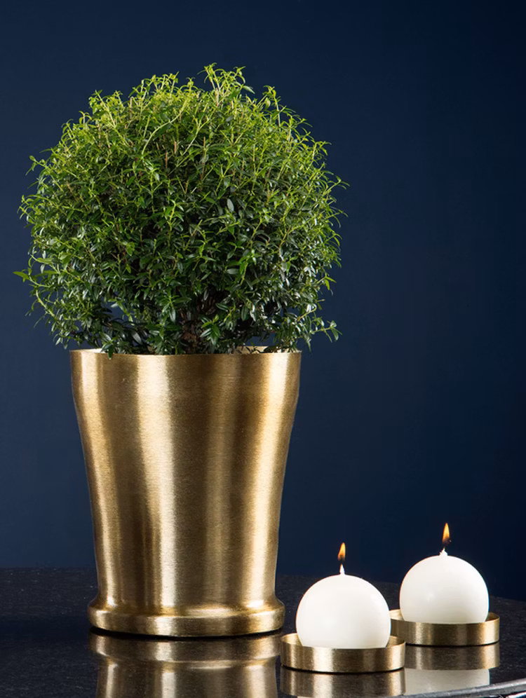 Ljusfat i borstad mässing