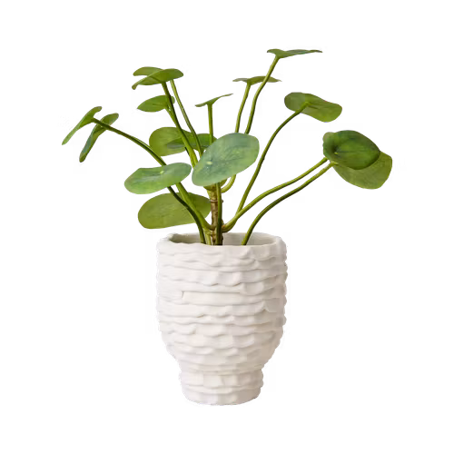 Kruka CREAM H14cm