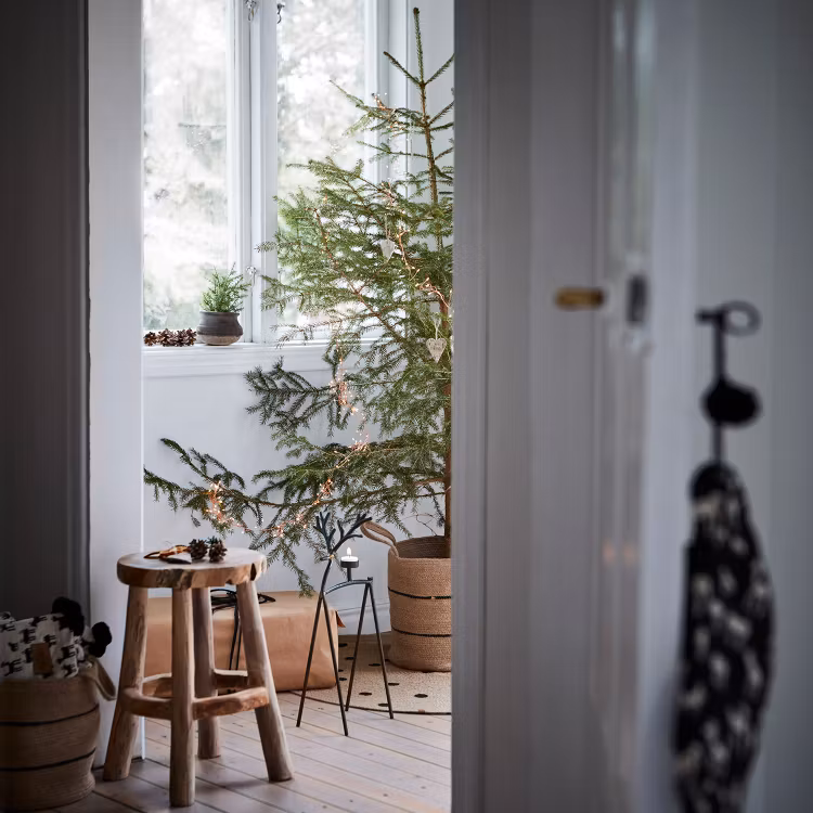 Korg, COLLECT, set om 2, Natur/svart