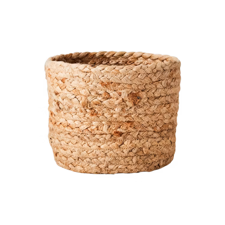 Korg COLLECT, set om 4, Natur