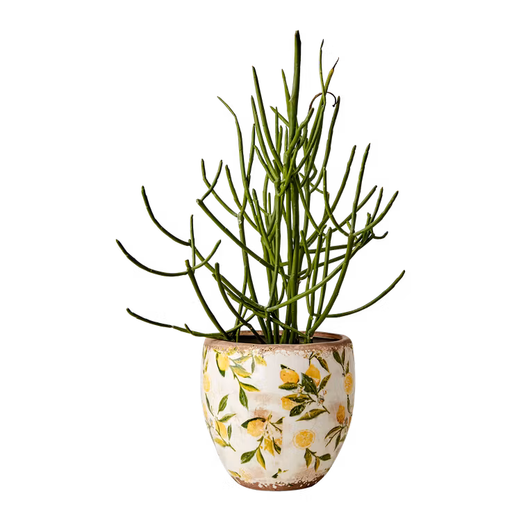 Kruka LEMONA M, Vit/grön/gul