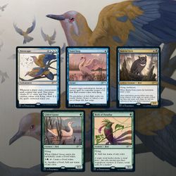 Magic the Gathering: Secret Lair Drop: Ornithological Studies