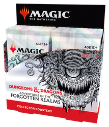 Magic the Gathering: Adventures in The Forgotten Realms Collector Booster Box