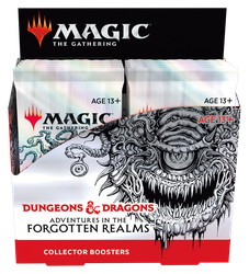 Magic the Gathering: Adventures in The Forgotten Realms Collector Booster Box