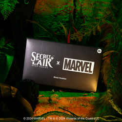 Magic the Gathering: Secret Lair x Marvel’s Black Panther (Non-Foil)