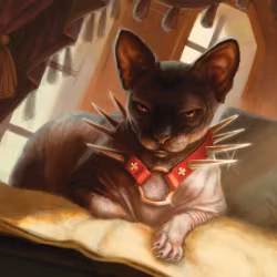 Magic the Gathering: Secret Lair Drop: Cats Are Better Than Dogs (Non Foil)