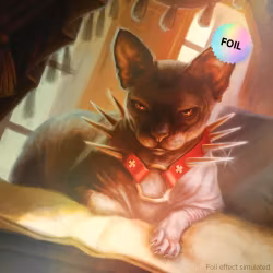 Magic the Gathering: Secret Lair Drop: Cats Are Better Than Dogs (Foil)