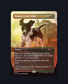 Magic the Gathering: Secret Lair Drop: Dogs Are Better Than Cats (Non Foil)