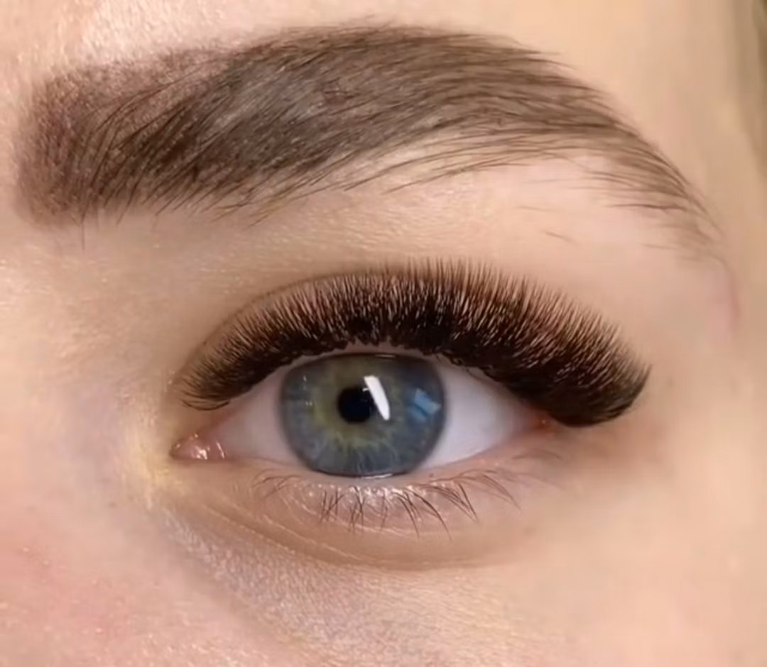 "Dark brown" fransar C/D 0.07