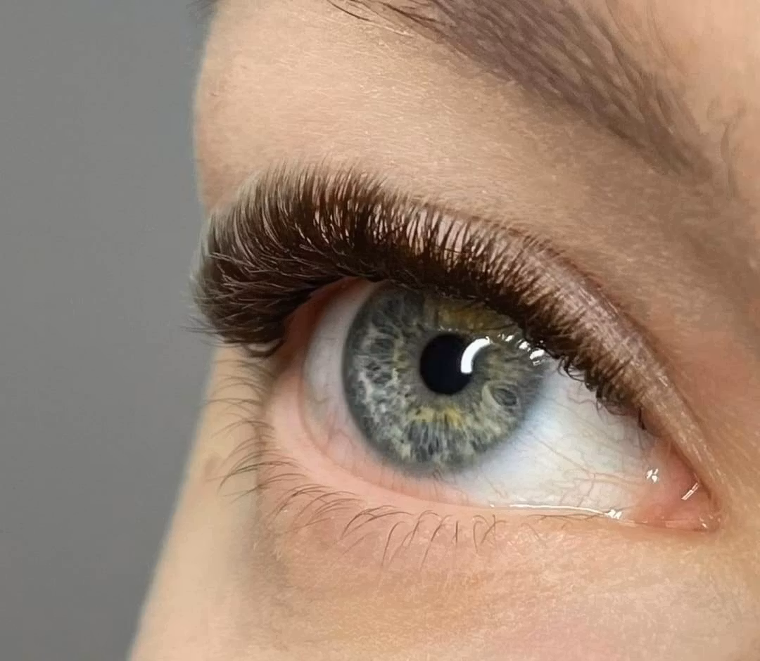 "Dark brown" fransar C/D 0.07