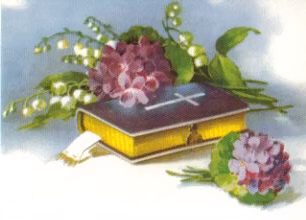SB 027 Bibel, komfirmation dop