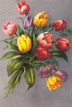 SB 078c Tulpaner, stor