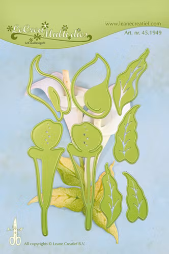 Leane Dies - Calla lily