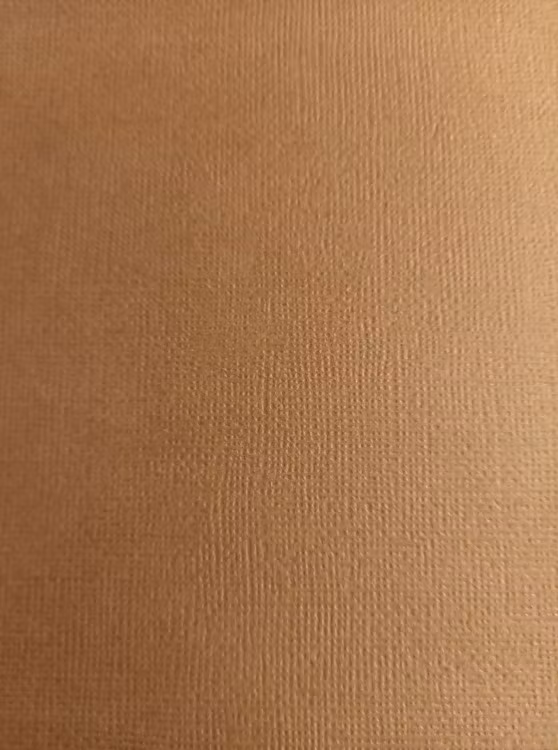 American crafts cardstock 12"x12" - Coffee 71049