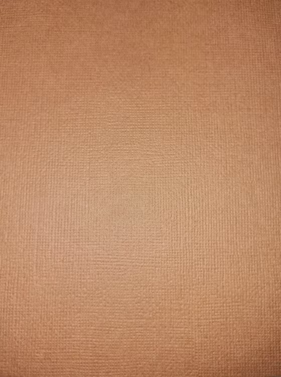 American crafts cardstock 12"x12" - Chocolat 71047