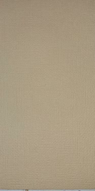 American crafts cardstock 12"x12" - Oatmeal 71562