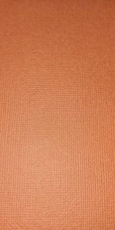 American crafts cardstock 12"x12" - Squash 71559