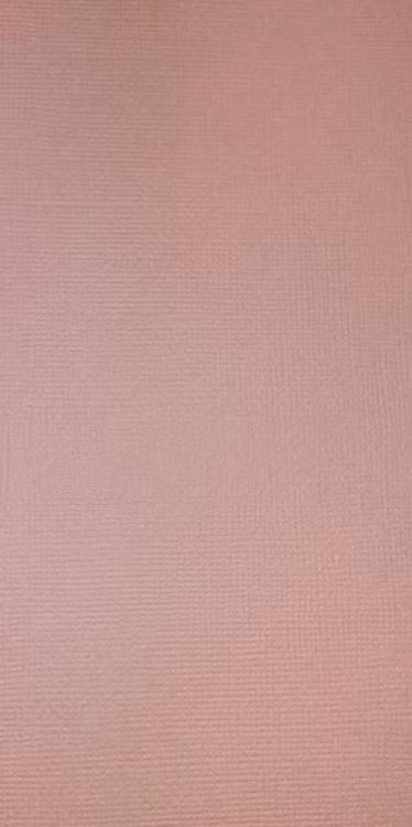 American crafts cardstock 12"x12" - Peony 71015