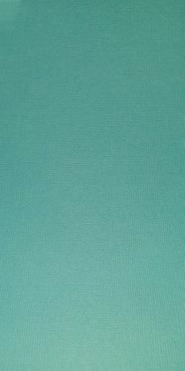 American crafts cardstock 12"x12" - Pool 71069