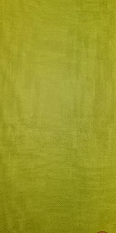 American crafts cardstock 12"x12" - Key lime 71061
