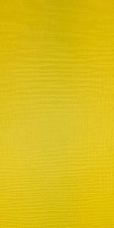 American crafts cardstock 12"x12" - Limenade 71505