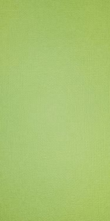 American crafts cardstock 12"x12" - Cabbage 71565