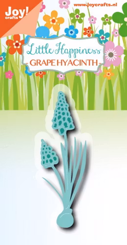 Joy! die - grape hyacinth  6003/3000