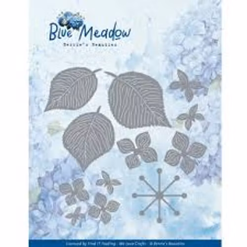 Find it dies -  Blue meadow - hydrangea bbd10049