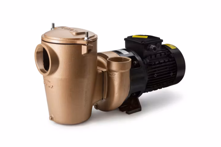 Pahlén Poolpump P2000