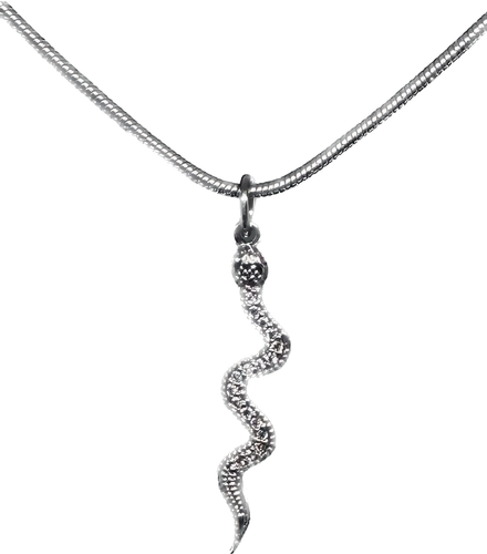 Snake charm necklace