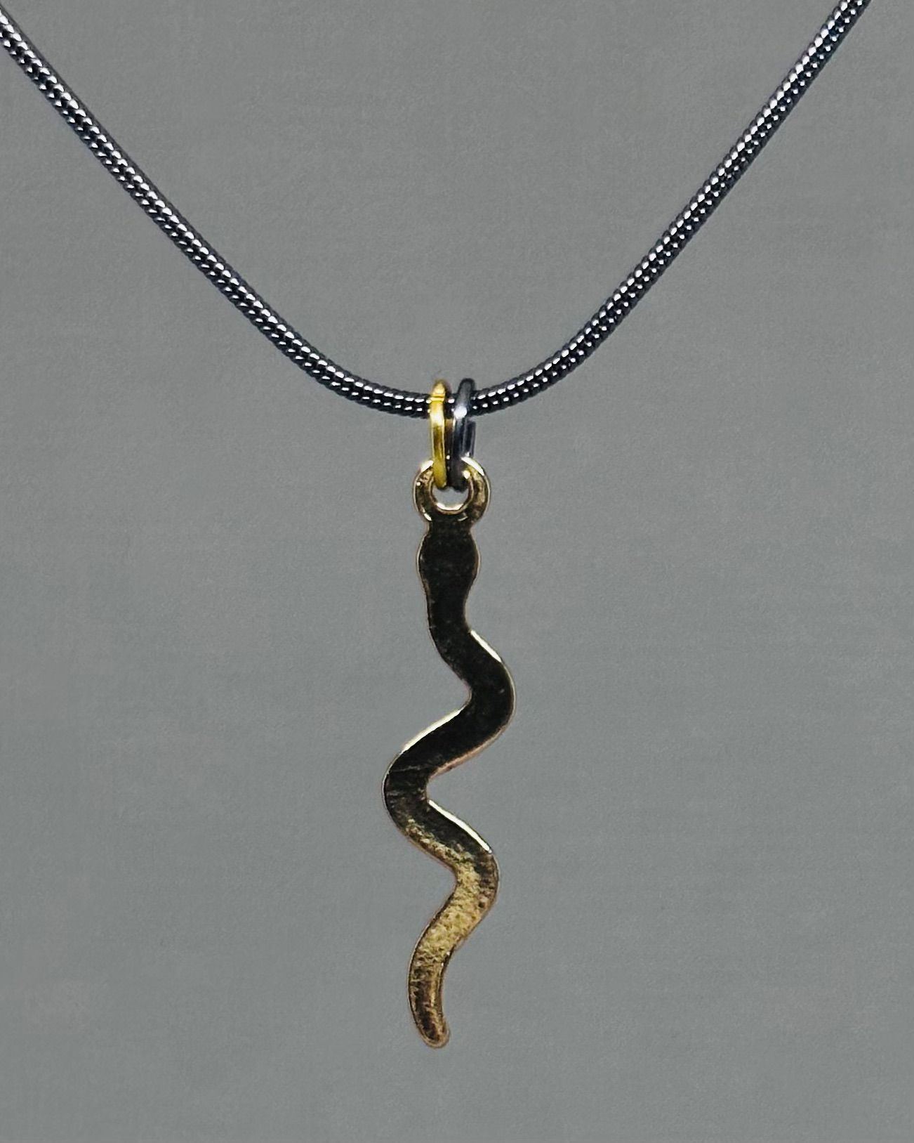 Snake charm necklace