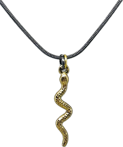 Snake charm necklace