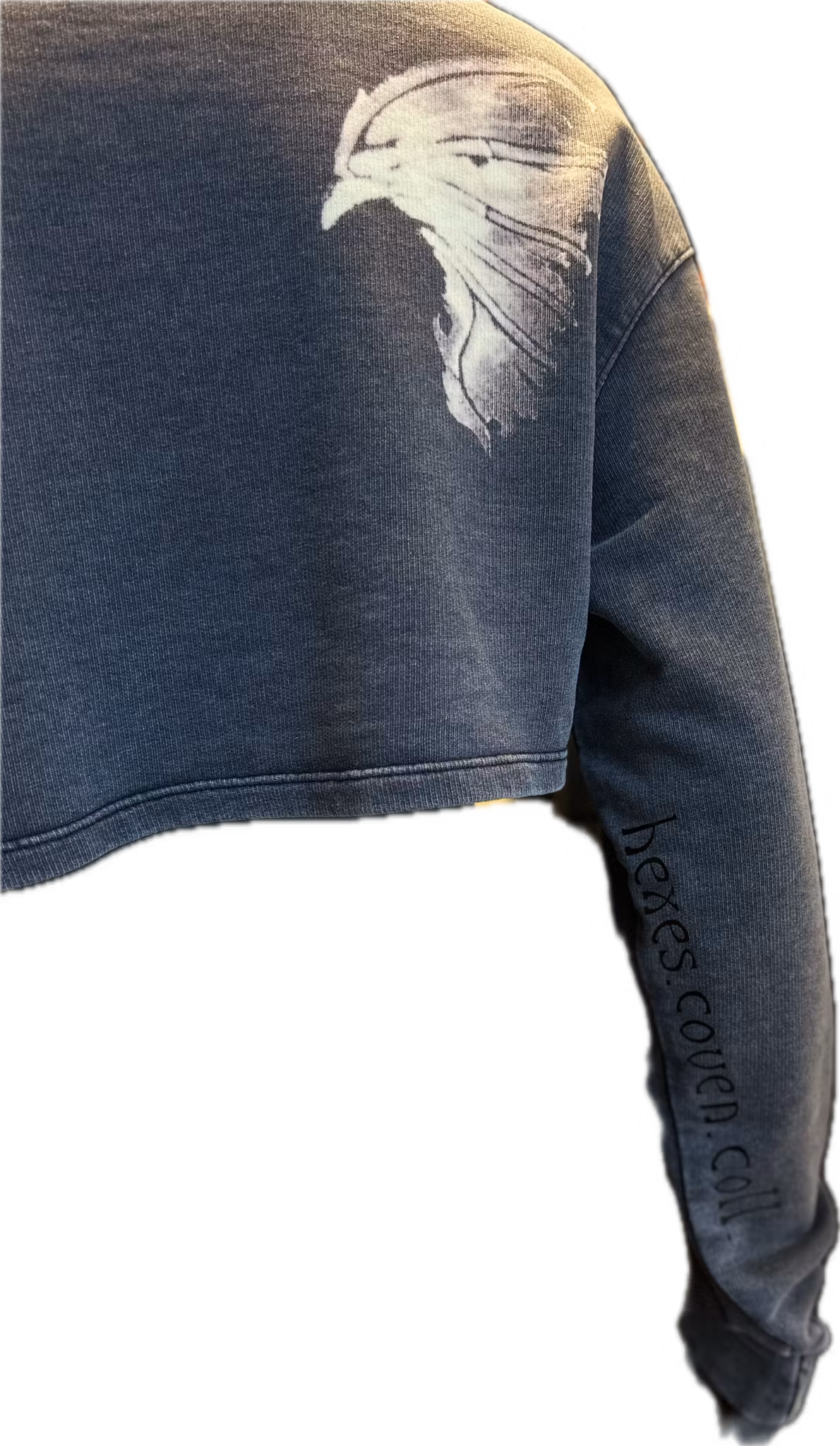 Witchy long sleeve top Cropped
