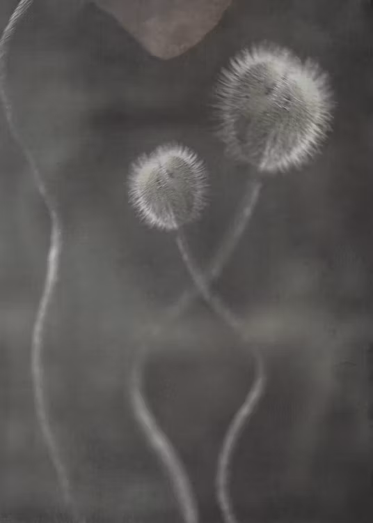 A Poppy Bud - "Power of a Flower"
