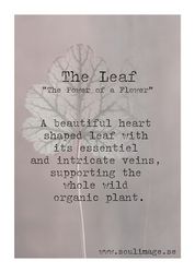 The Leaf - "Power of a Flower"