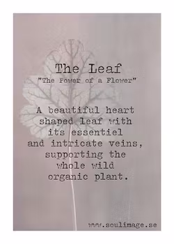 The Leaf - "Power of a Flower"