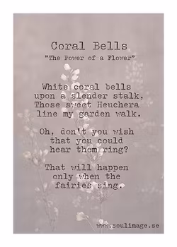 Corall Bells - "Power of a Flower"
