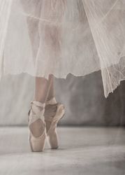 The Graceful Ballerina - "A Soul of a Ballerina"