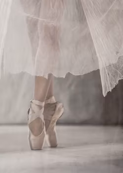 The Graceful Ballerina - "A Soul of a Ballerina"