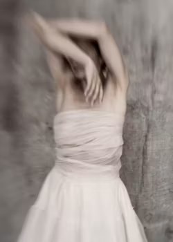 Wild Emotions - "A Soul of a Ballerina"