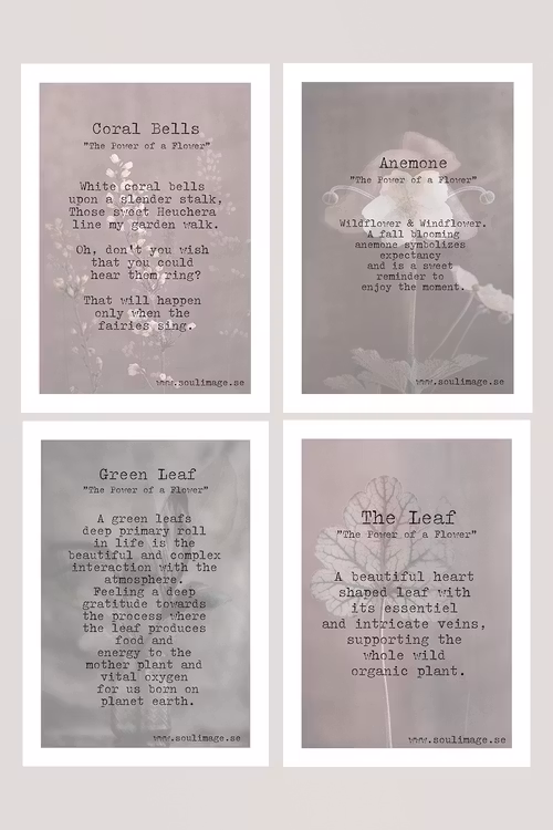 Cards - Leafs & Flowers
