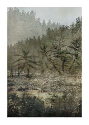 The Peaceful Forest - "Soul of a Nomad"