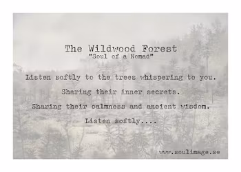 The Wildwood Forest - "Soul of a Nomad"