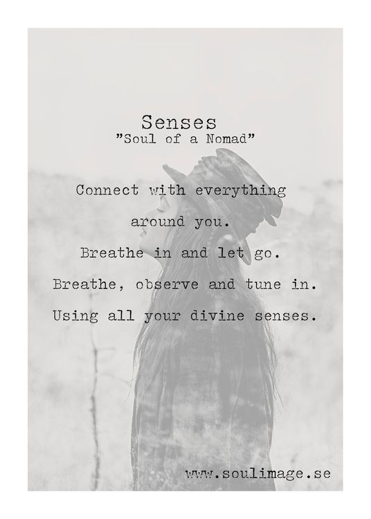 Senses - "Soul of a Nomad"